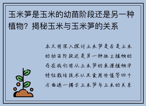 玉米笋是玉米的幼苗阶段还是另一种植物？揭秘玉米与玉米笋的关系